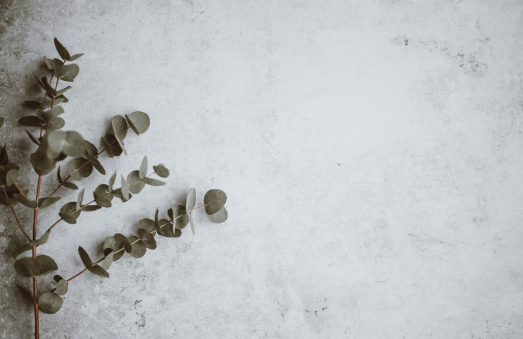 annie spratt oty0mkqc2yk unsplash