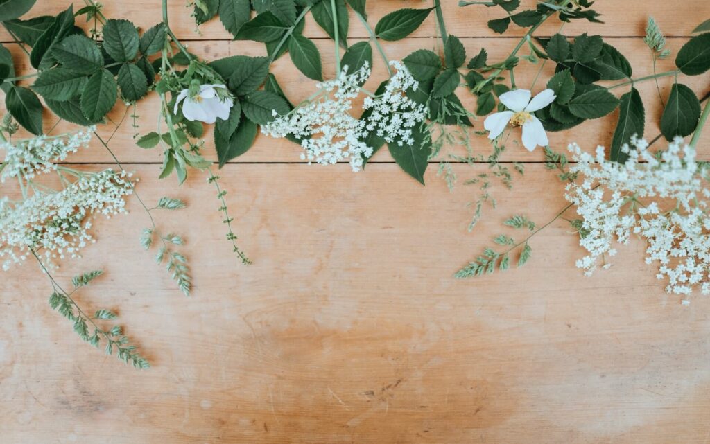 annie spratt owq8w3bymfy unsplash