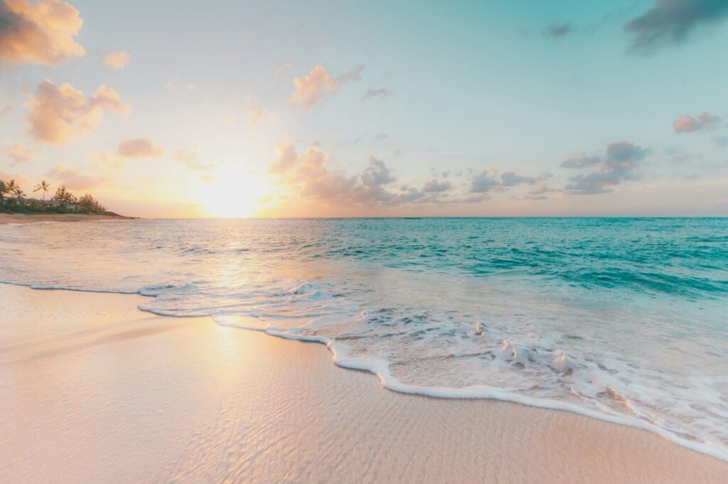 sean oulashin kmn4veeepr8 unsplash