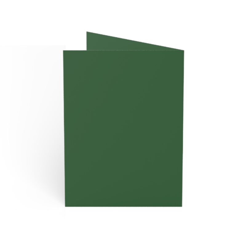 7082322235308621038 2048.jpeg